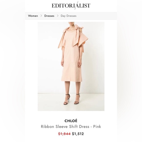 NWT CHLOÉ Ribbon Sleeve Shift Dress – Dusty Pink –
Runway Collection - Picture 5 of 6